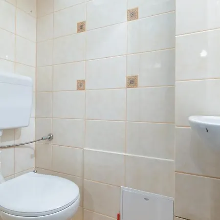 в історичному центрі львова リヴィウ