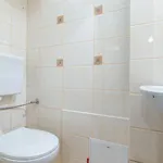в історичному центрі львова Lwów